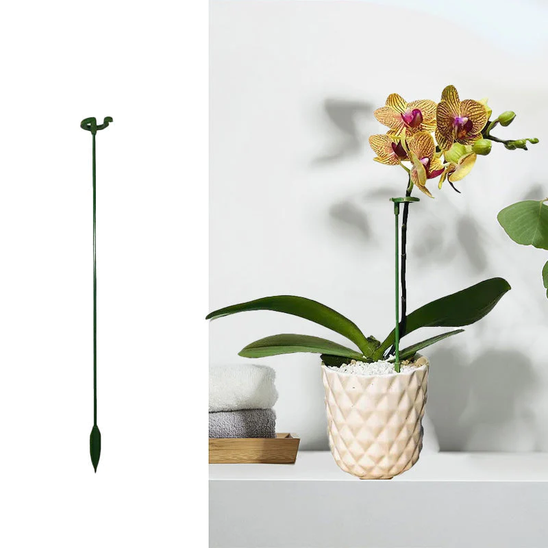 FloraGuard™ - Stilvoller Halt für Ihre Blumenpracht |60% RBATT