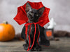 VampirKatzenCape™ - Das perfekte Halloween-Kostüm für Ihre Katze!