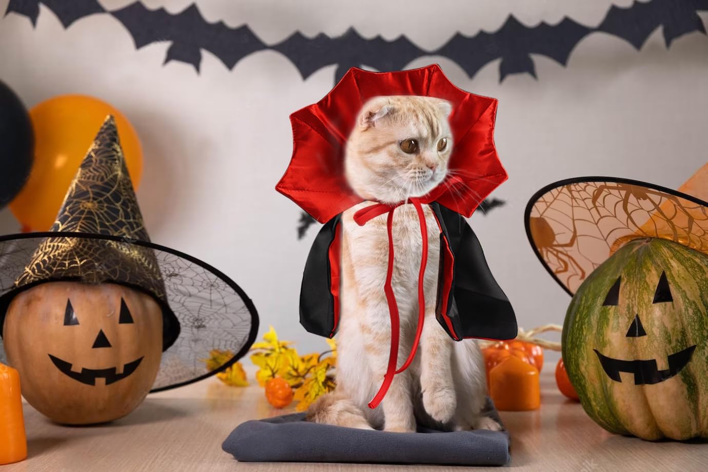 VampirKatzenCape™ - Das perfekte Halloween-Kostüm für Ihre Katze!