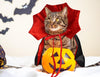 VampirKatzenCape™ - Das perfekte Halloween-Kostüm für Ihre Katze!