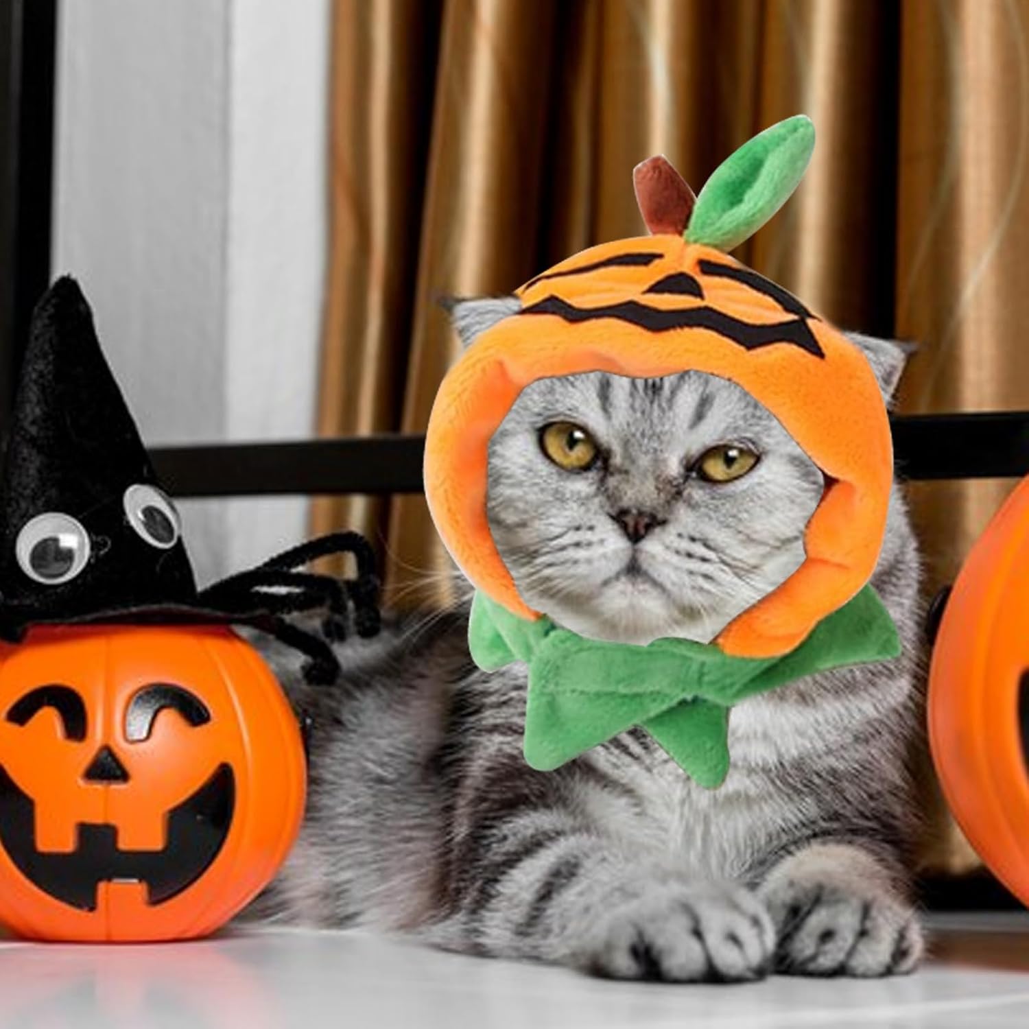 VampirKatzenCape™ - Das perfekte Halloween-Kostüm für Ihre Katze!