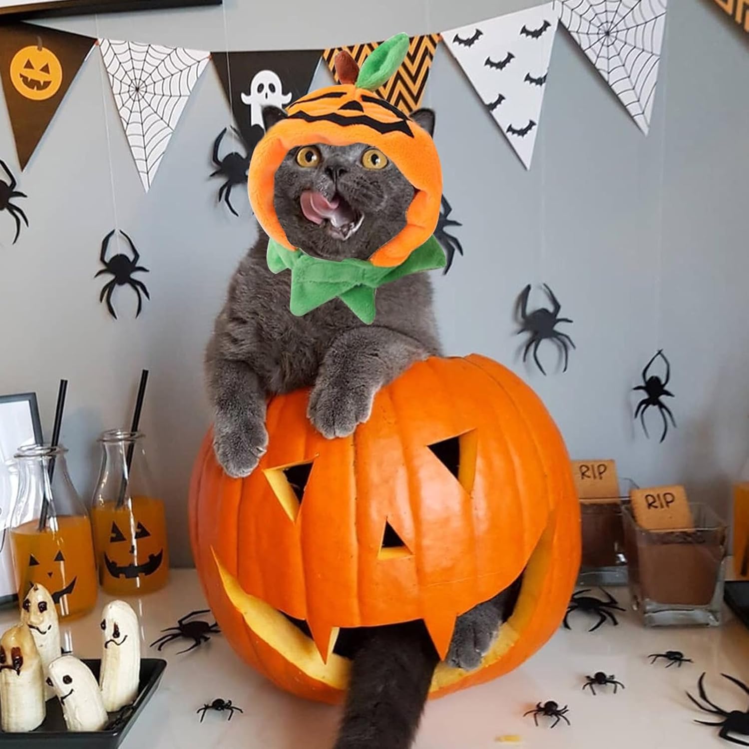 VampirKatzenCape™ - Das perfekte Halloween-Kostüm für Ihre Katze!