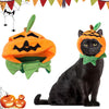 VampirKatzenCape™ - Das perfekte Halloween-Kostüm für Ihre Katze!